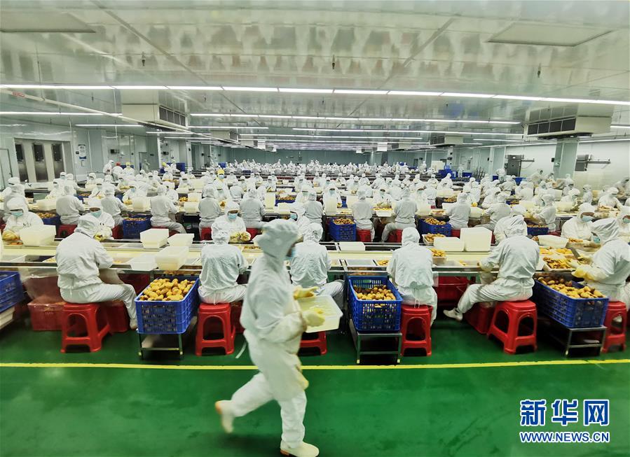 （決戰(zhàn)決勝脫貧攻堅(jiān)&middot;圖文互動(dòng)）（8）同飲一江水 攜手&ldquo;斬窮根&rdquo;&mdash;&mdash;深圳對(duì)口廣西河池、百色扶貧協(xié)作見聞