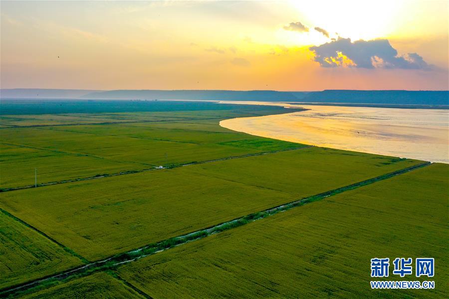 （新華全媒頭條&middot;圖文互動）（4）天道酬勤的大地贊歌&mdash;&mdash;寫在第三個中國農(nóng)民豐收節(jié)之際
