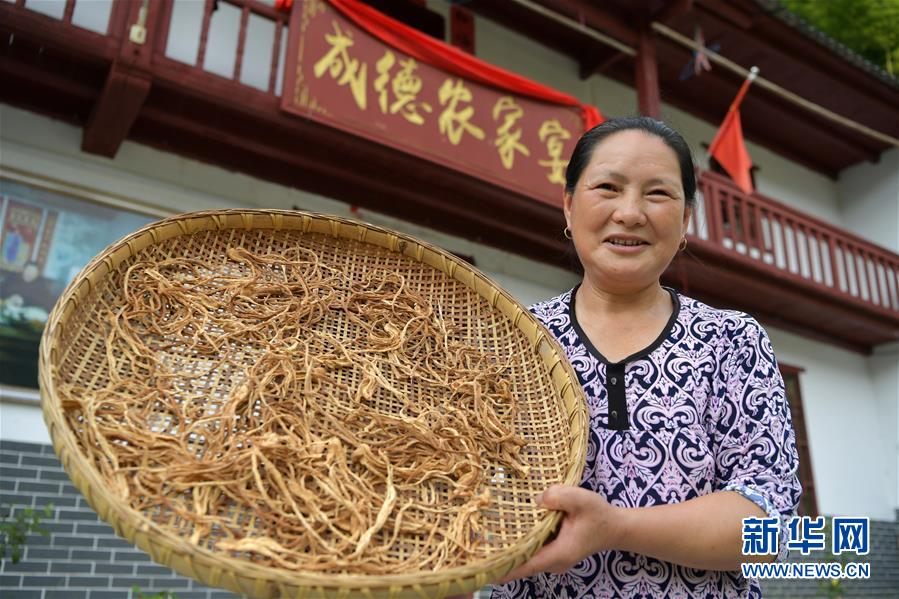 （新華全媒頭條&middot;走向我們的小康生活&middot;圖文互動(dòng)）（4）神山村&ldquo;神奇&rdquo;何在？&mdash;&mdash;井岡山深處覓答案