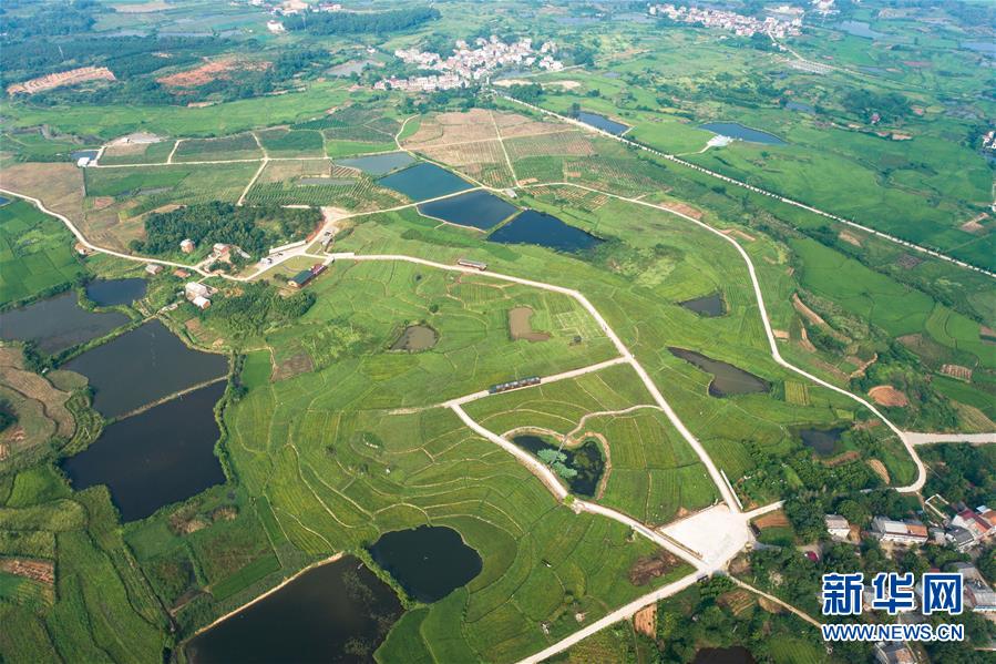 （新華全媒頭條&middot;走向我們的小康生活&middot;圖文互動）（1）特殊之年，荊楚大地書寫不平凡的答卷