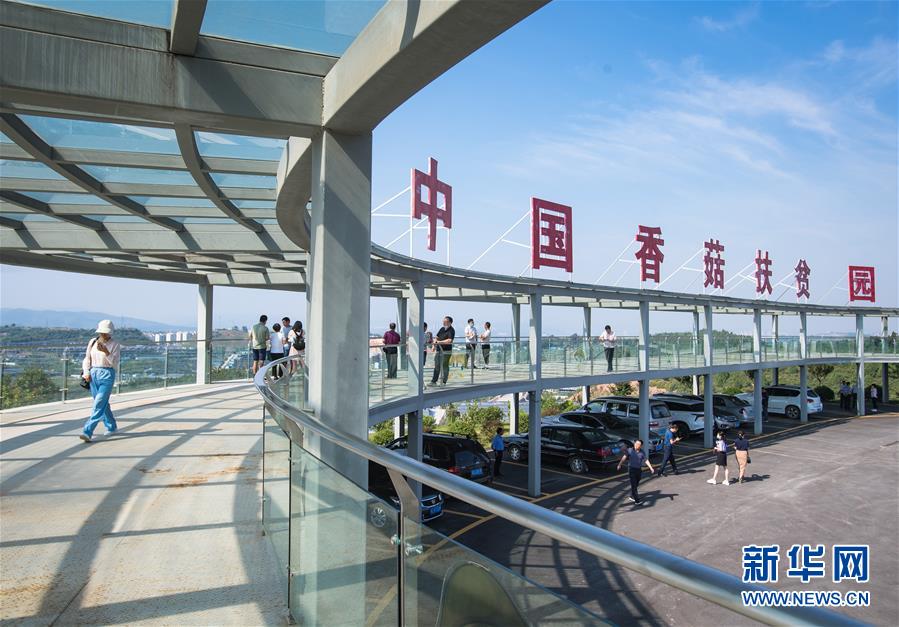 （新華全媒頭條&middot;走向我們的小康生活&middot;圖文互動）（2）特殊之年，荊楚大地書寫不平凡的答卷