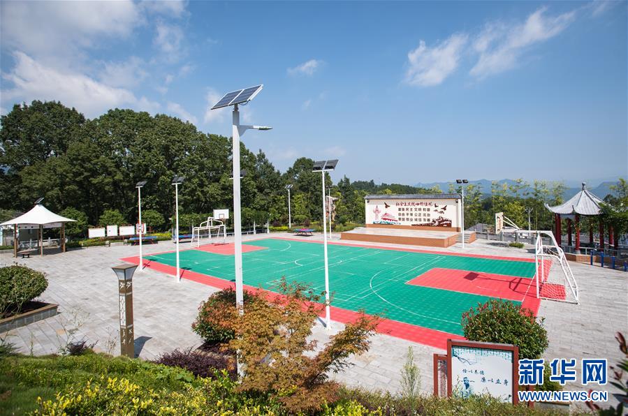 （新華全媒頭條&middot;走向我們的小康生活&middot;圖文互動）（6）特殊之年，荊楚大地書寫不平凡的答卷