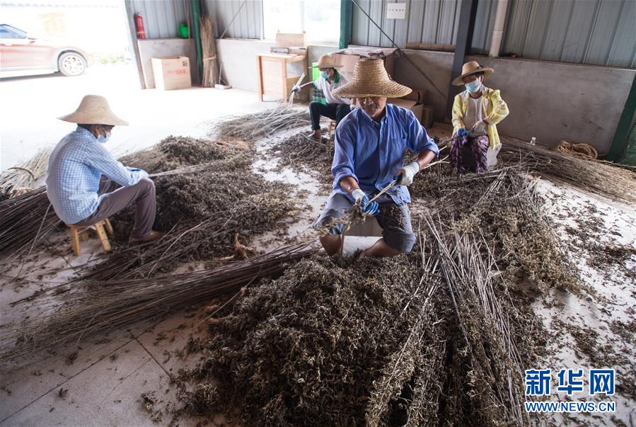 （新華全媒頭條&middot;走向我們的小康生活&middot;圖文互動）（10）特殊之年，荊楚大地書寫不平凡的答卷