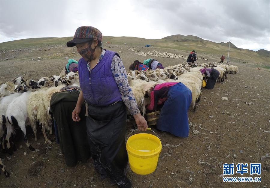 (新華全媒頭條·走向我們的小康生活·決戰(zhàn)決勝脫貧攻堅(jiān)·圖文互動(dòng))(2)兩次遷徙“搬窮”記——海拔最高縣雙湖的“戰(zhàn)貧故事”