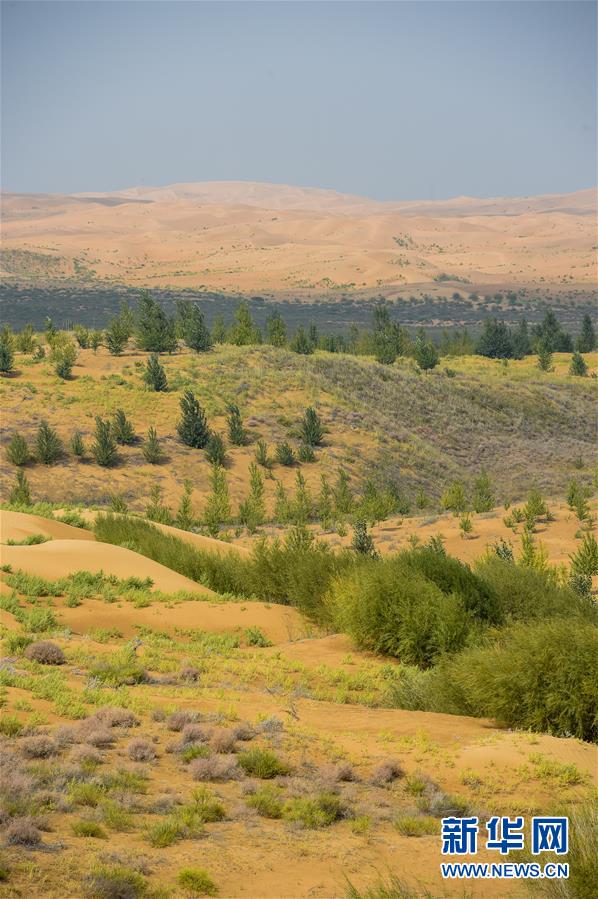 （在習(xí)近平新時(shí)代中國特色社會主義思想指引下&mdash;&mdash;新時(shí)代新作為新篇章&middot;習(xí)近平總書記關(guān)切事&middot;圖文互動）（6）綠意，在黃沙中鋪展&mdash;&mdash;我國防沙治沙紀(jì)實(shí)