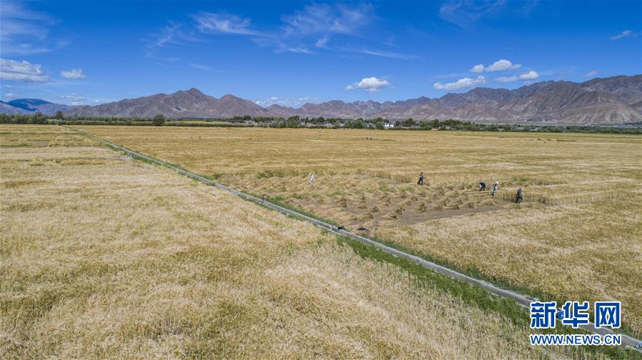 （新華全媒頭條&middot;走向我們的小康生活&middot;圖文互動）（11）扎西德勒，我們的新家園&mdash;&mdash;西藏易地扶貧搬遷搬出幸福美好新生活