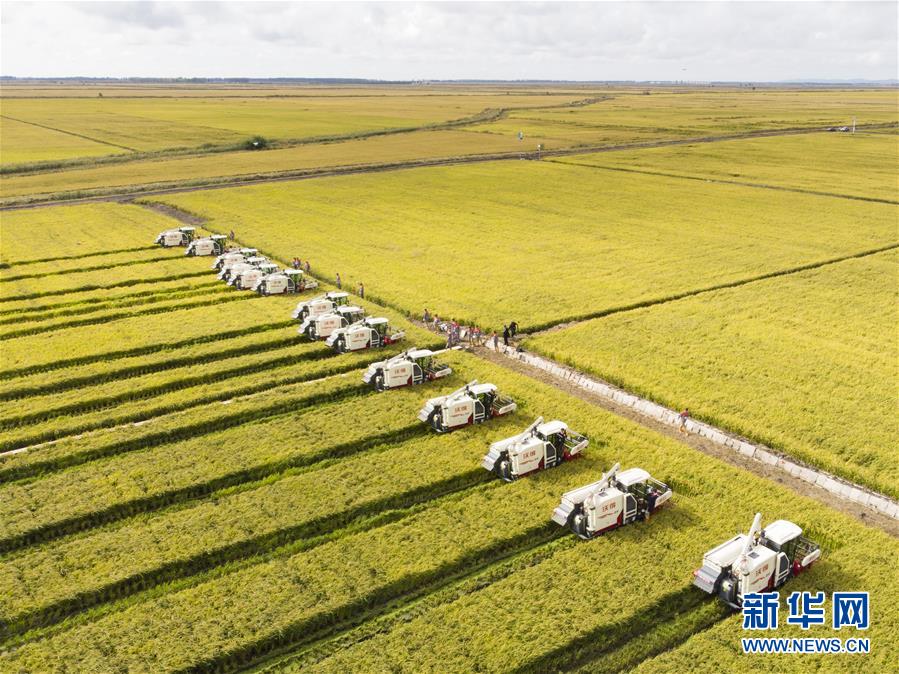 （新華全媒頭條&middot;圖文互動）（15）奮斗結(jié)碩果，再寫新篇章&mdash;&mdash;寫在共和國71周年華誕之際