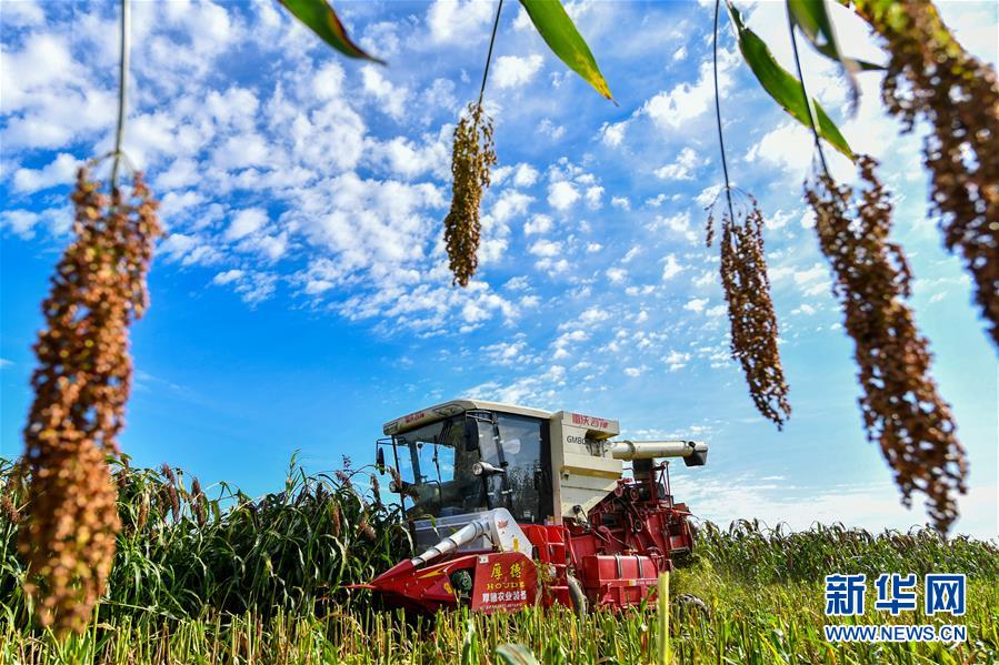 （新華全媒頭條&middot;圖文互動）（17）奮斗結(jié)碩果，再寫新篇章&mdash;&mdash;寫在共和國71周年華誕之際