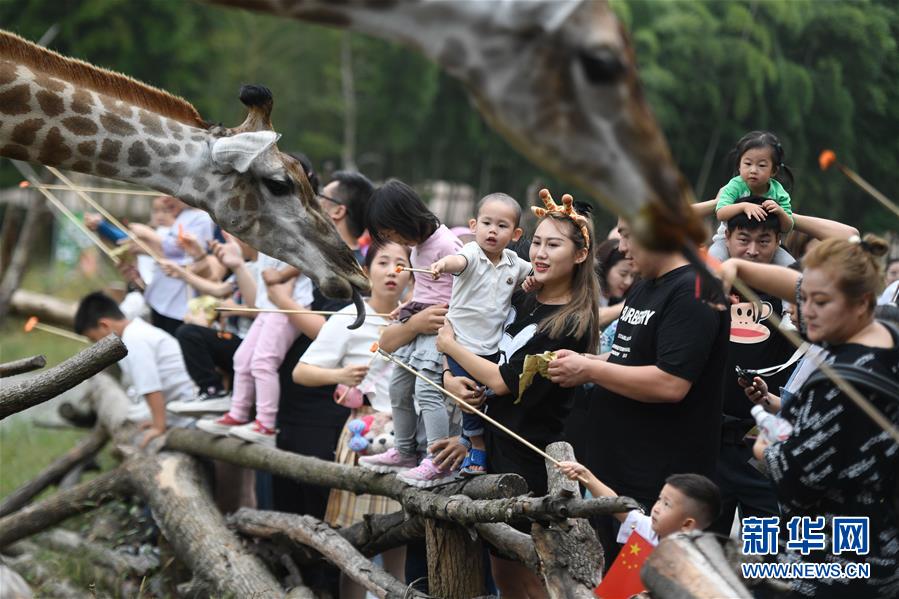 （新華全媒頭條&middot;圖文互動）（9）&ldquo;綠&rdquo;從天目盎然出&mdash;&mdash;湖州做好&ldquo;六穩(wěn)&rdquo;工作落實&ldquo;六保&rdquo;任務(wù)新觀察