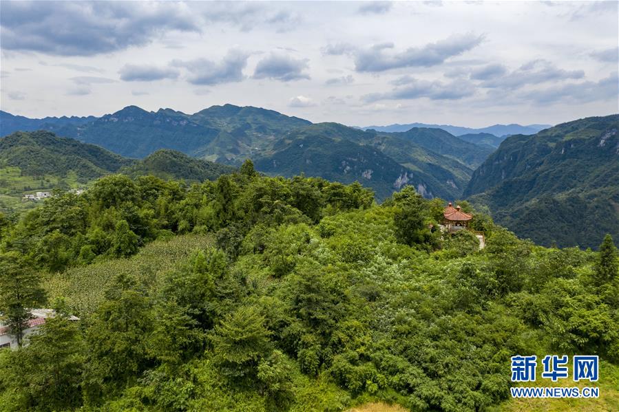 （新華全媒頭條&middot;走向我們的小康生活&middot;決戰(zhàn)決勝脫貧攻堅(jiān)&middot;圖文互動(dòng)）（9）昭通之變&mdash;&mdash;全國貧困人口最多的地級(jí)市跨越記