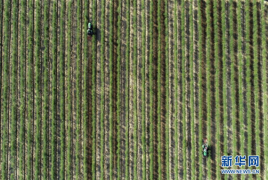 （新華全媒頭條&middot;百萬大移民&middot;圖文互動(dòng)）（10）從大山深處到大河之畔&mdash;&mdash;寧夏持續(xù)移民百萬&ldquo;拔窮根&rdquo;啟示