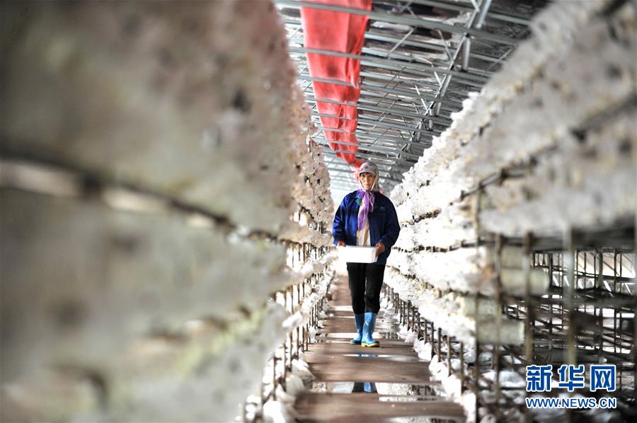 （習近平的小康故事&middot;圖文互動）（6）&ldquo;我很期盼的一件事，就是讓鄉(xiāng)親們飽餐一頓肉&rdquo;&mdash;&mdash;習近平和脫貧攻堅的故事