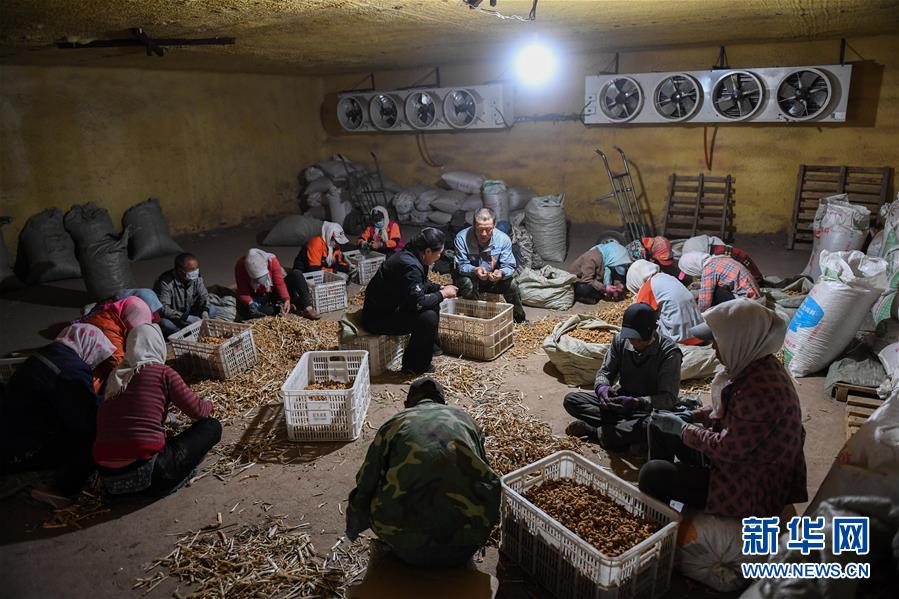 （習近平的小康故事&middot;圖文互動）（8）&ldquo;我很期盼的一件事，就是讓鄉(xiāng)親們飽餐一頓肉&rdquo;&mdash;&mdash;習近平和脫貧攻堅的故事