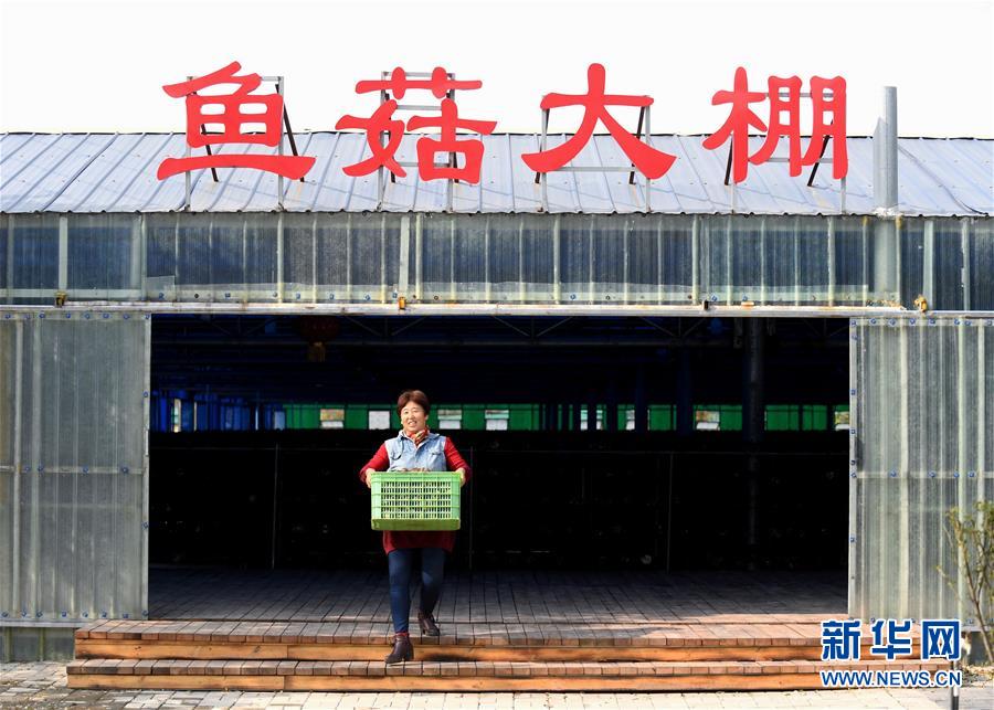 （決戰(zhàn)決勝脫貧攻堅(jiān)&middot;圖文互動(dòng)）（5）17代人追逐的夢(mèng)想實(shí)現(xiàn)了&mdash;&mdash;記冀南平原劉秋口村變遷 