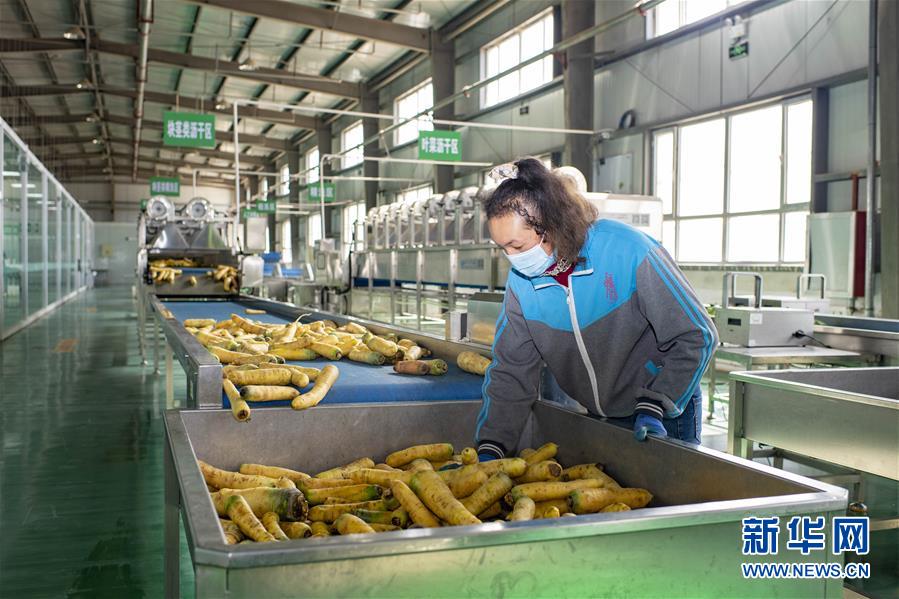 (聚焦疫情防控·圖文互動)(2)把握先機 應(yīng)對有序——新疆疏附縣全力阻斷新冠肺炎病毒傳播