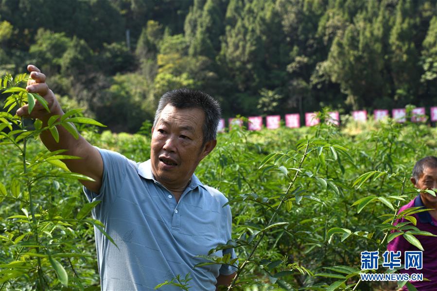 （決戰(zhàn)決勝脫貧攻堅(jiān)&middot;圖文互動(dòng)）（4）&ldquo;堵槍眼&rdquo;的脫貧戰(zhàn)怎么打？&mdash;&mdash;繼光村見(jiàn)聞