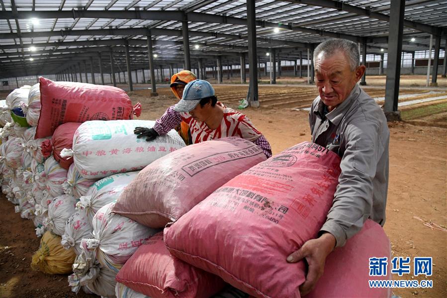 （全面建成小康社會&ldquo;百城千縣萬村調研行&rdquo;&middot;圖文互動）（6）青島西海岸新區(qū)以&ldquo;生態(tài)酵母&rdquo;激活鄉(xiāng)村振興