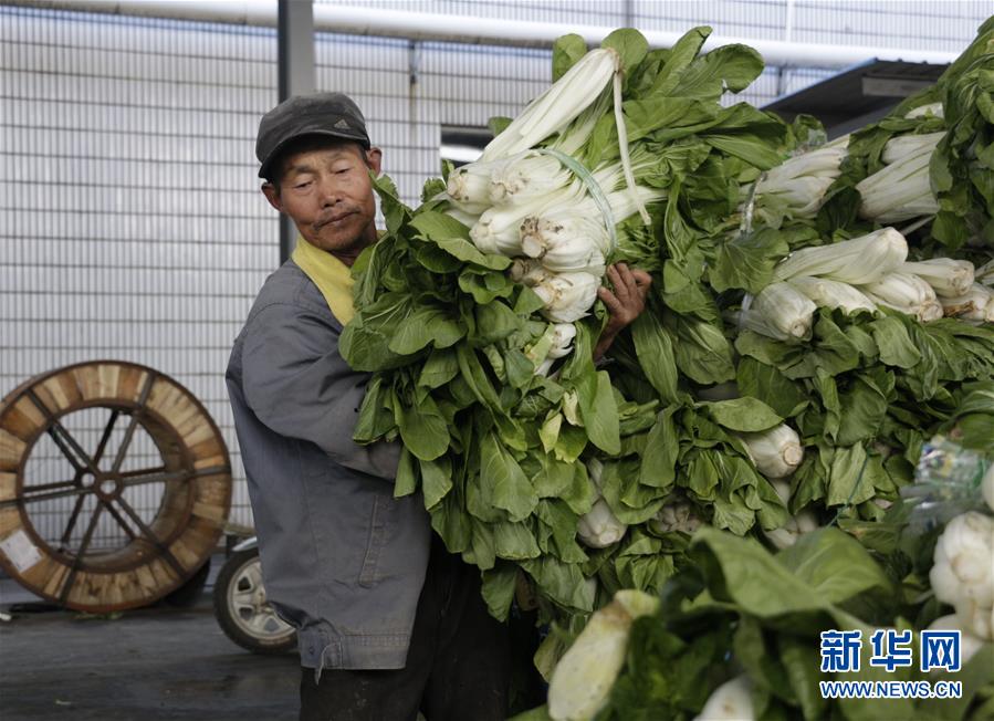 (全面建成小康社會(huì)“百城千縣萬(wàn)村調(diào)研行”·圖文互動(dòng))(3)安徽當(dāng)涂:強(qiáng)產(chǎn)業(yè)抓主體促增收