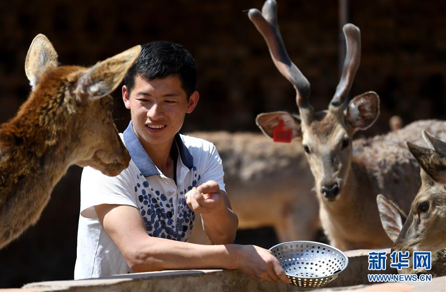 （&ldquo;中國面貌&rdquo;系列述評&middot;圖文互動）（3）奇跡中國&mdash;&mdash;70年中國面貌變遷述評之一