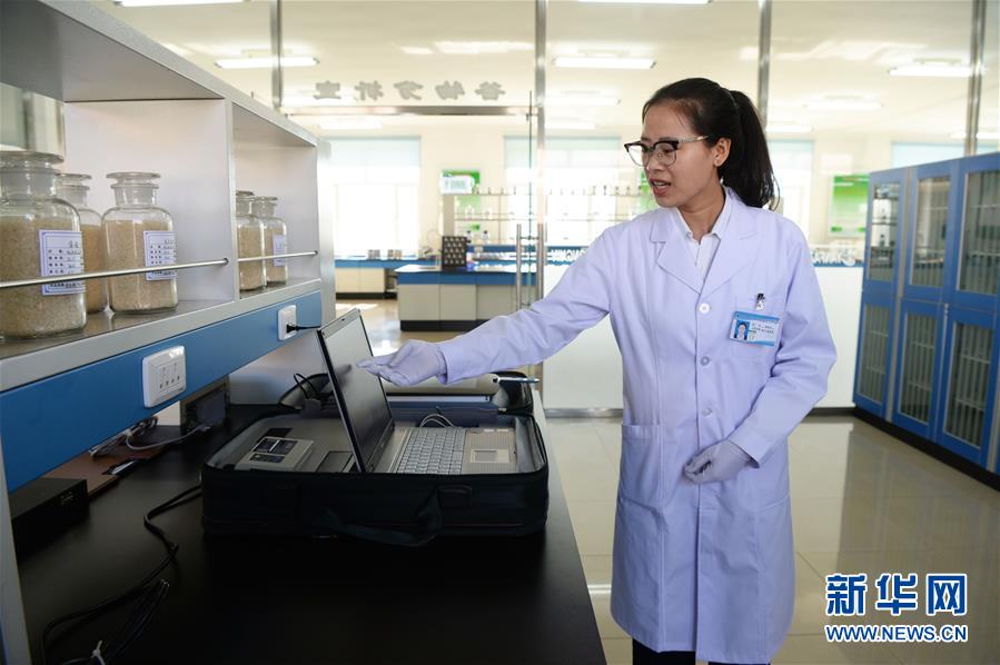 （新華全媒頭條&middot;圖文互動(dòng)）（6）奮力書(shū)寫(xiě)東北振興的時(shí)代新篇&mdash;&mdash;習(xí)近平總書(shū)記調(diào)研東北三省并主持召開(kāi)深入推進(jìn)東北振興座談會(huì)紀(jì)實(shí)