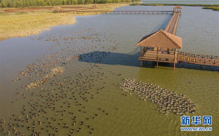 （新華全媒頭條&middot;圖文互動(dòng)）（9）奮力書寫東北振興的時(shí)代新篇&mdash;&mdash;習(xí)近平總書記調(diào)研東北三省并主持召開深入推進(jìn)東北振興座談會(huì)紀(jì)實(shí)