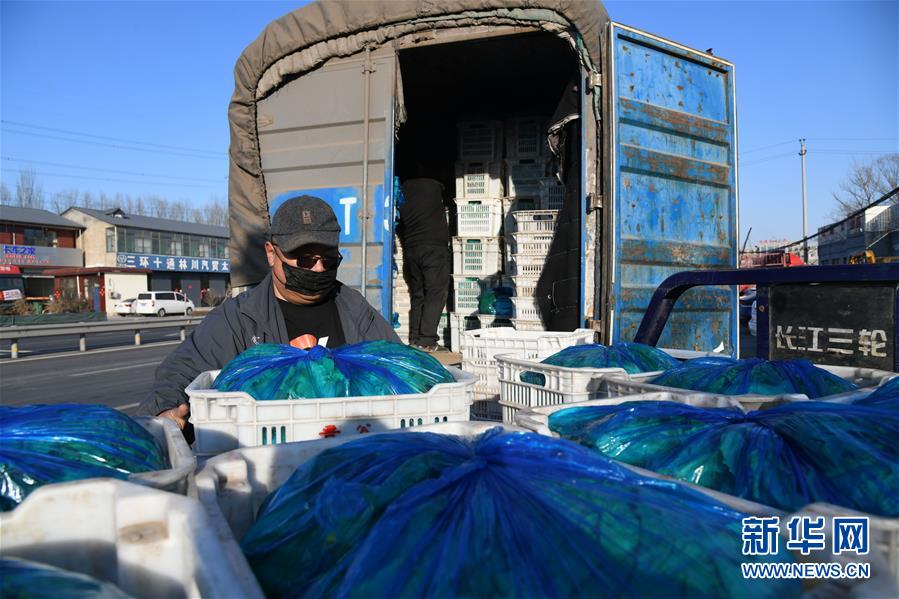 （在習(xí)近平新時(shí)代中國特色社會主義思想指引下&mdash;&mdash;新時(shí)代新作為新篇章&middot;習(xí)近平總書記關(guān)切事&middot;圖文互動）（3）抗疫之下 保供無憂