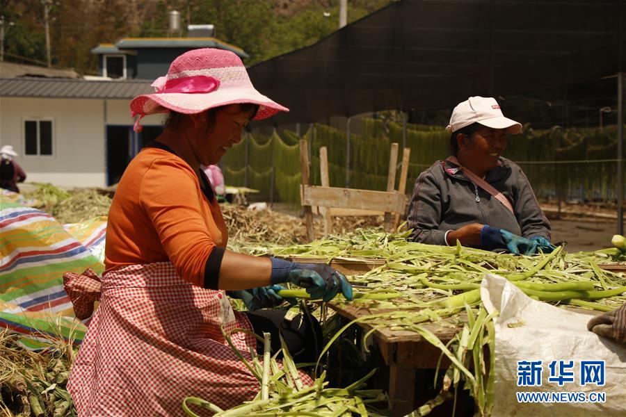 （在習(xí)近平新時(shí)代中國(guó)特色社會(huì)主義思想指引下&mdash;&mdash;新時(shí)代新作為新篇章&middot;習(xí)近平總書(shū)記關(guān)切事&middot;圖文互動(dòng)）（4）啃下最后的硬骨頭&mdash;&mdash;脫貧攻堅(jiān)掛牌督戰(zhàn)進(jìn)行時(shí)