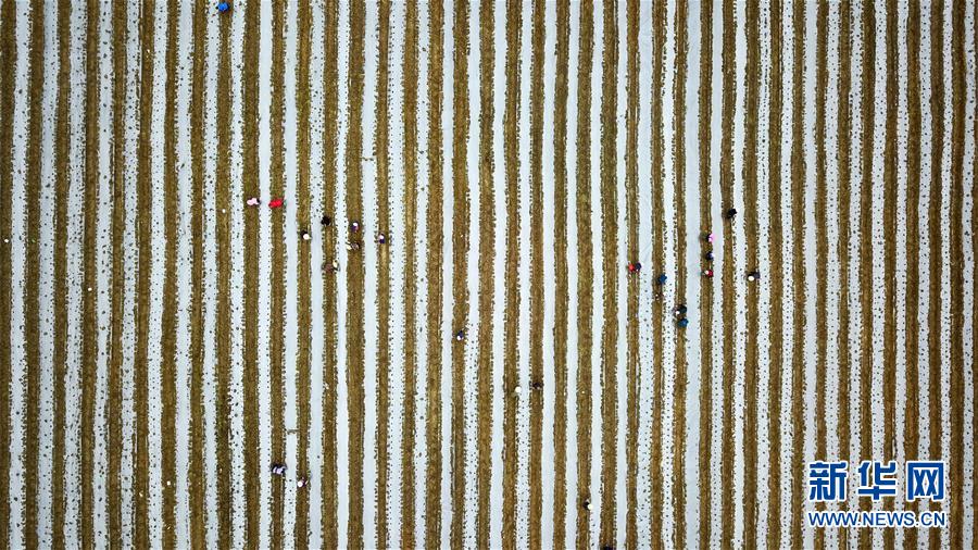 （在習(xí)近平新時(shí)代中國(guó)特色社會(huì)主義思想指引下&mdash;&mdash;新時(shí)代新作為新篇章&middot;習(xí)近平總書(shū)記關(guān)切事&middot;圖文互動(dòng)）（6）啃下最后的硬骨頭&mdash;&mdash;脫貧攻堅(jiān)掛牌督戰(zhàn)進(jìn)行時(shí)