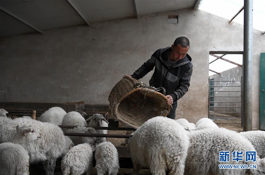 （新華全媒頭條&middot;圖文互動(dòng)）（1）春天里的5個(gè)&ldquo;戰(zhàn)貧&rdquo;瞬間&mdash;&mdash;習(xí)近平總書(shū)記關(guān)于脫貧攻堅(jiān)決策部署指引攻克最后的深貧堡壘