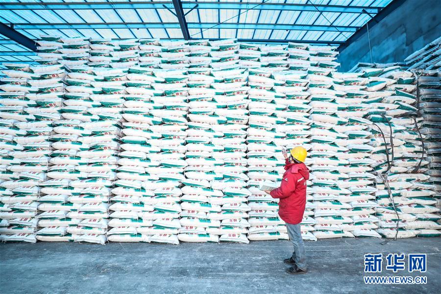 (在習(xí)近平新時(shí)代中國特色社會主義思想指引下——新時(shí)代新作為新篇章·習(xí)近平總書記關(guān)切事·圖文互動)(4)春耕忙 信心足——谷雨時(shí)節(jié)走馬東北直擊糧事