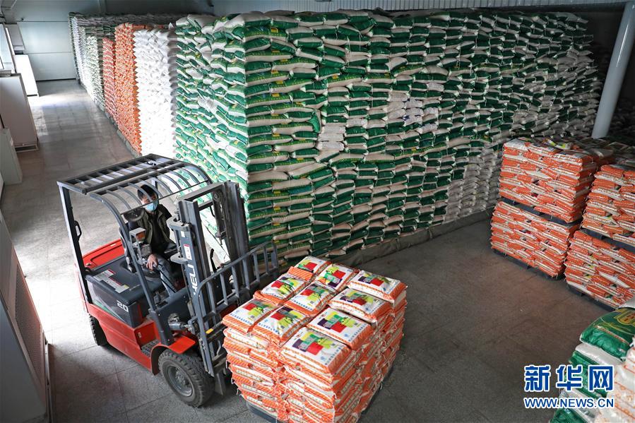 (在習(xí)近平新時(shí)代中國特色社會主義思想指引下——新時(shí)代新作為新篇章·習(xí)近平總書記關(guān)切事·圖文互動)(9)春耕忙 信心足——谷雨時(shí)節(jié)走馬東北直擊糧事