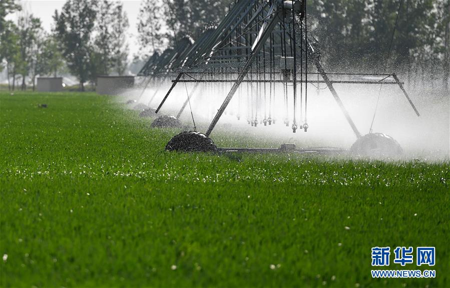 （在習近平新時代中國特色社會主義思想指引下&mdash;&mdash;新時代新作為新篇章&middot;習近平總書記關(guān)切事&middot;圖文互動）（3）新農(nóng)事、新希望&mdash;&mdash;夏收前田間新動態(tài)掃描