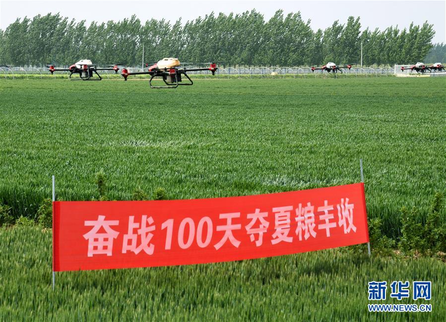 （在習近平新時代中國特色社會主義思想指引下&mdash;&mdash;新時代新作為新篇章&middot;習近平總書記關(guān)切事&middot;圖文互動）（9）新農(nóng)事、新希望&mdash;&mdash;夏收前田間新動態(tài)掃描