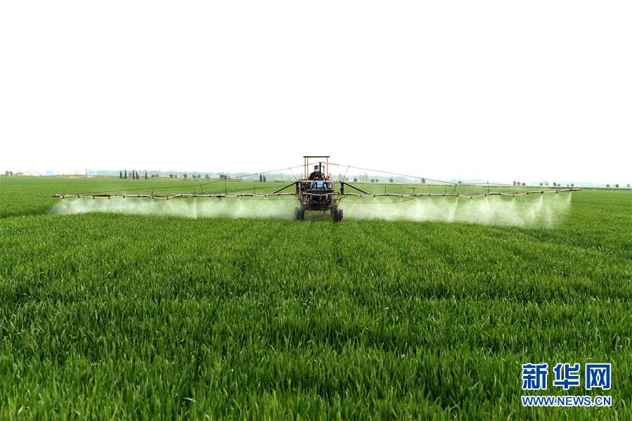 （在習近平新時代中國特色社會主義思想指引下&mdash;&mdash;新時代新作為新篇章&middot;習近平總書記關(guān)切事&middot;圖文互動）（10）新農(nóng)事、新希望&mdash;&mdash;夏收前田間新動態(tài)掃描