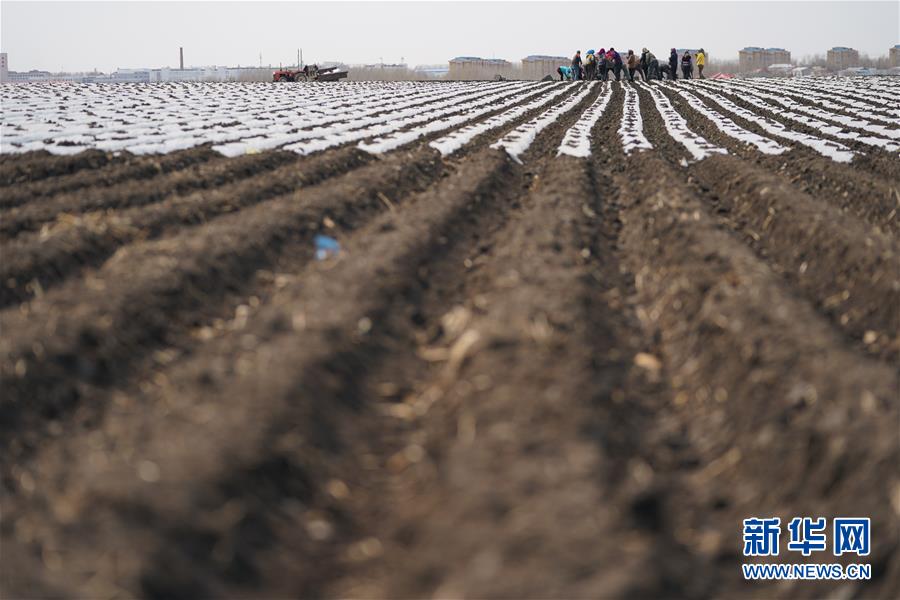 （在習(xí)近平新時(shí)代中國特色社會主義思想指引下&mdash;&mdash;新時(shí)代新作為新篇章&middot;習(xí)近平總書記關(guān)切事&middot;圖文互動）（3）讓每一寸耕地都成為豐收的沃土&mdash;&mdash;我國加強(qiáng)耕地保護(hù)推進(jìn)&ldquo;藏糧于地&rdquo;