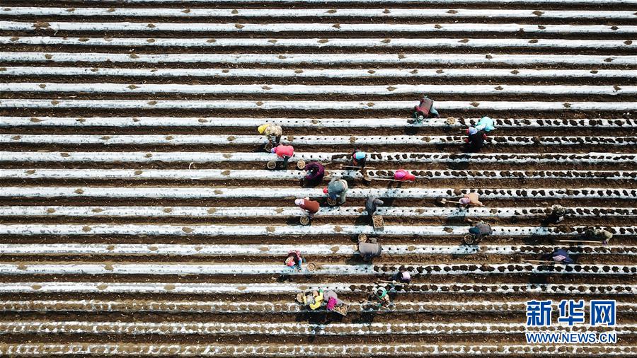 （在習(xí)近平新時(shí)代中國特色社會主義思想指引下&mdash;&mdash;新時(shí)代新作為新篇章&middot;習(xí)近平總書記關(guān)切事&middot;圖文互動）（2）讓每一寸耕地都成為豐收的沃土&mdash;&mdash;我國加強(qiáng)耕地保護(hù)推進(jìn)&ldquo;藏糧于地&rdquo;