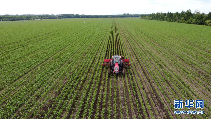 （在習(xí)近平新時(shí)代中國特色社會主義思想指引下&mdash;&mdash;新時(shí)代新作為新篇章&middot;習(xí)近平總書記關(guān)切事&middot;圖文互動）（5）讓每一寸耕地都成為豐收的沃土&mdash;&mdash;我國加強(qiáng)耕地保護(hù)推進(jìn)&ldquo;藏糧于地&rdquo;