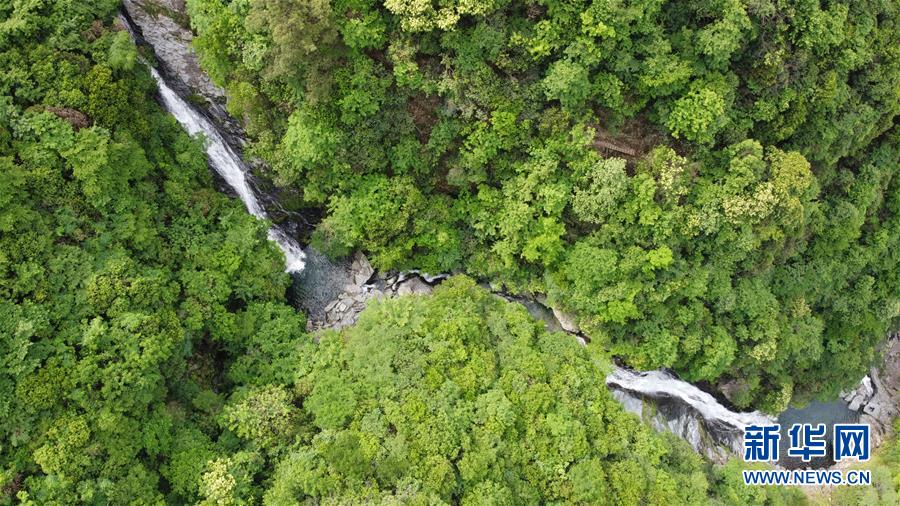 （在習近平新時代中國特色社會主義思想指引下&mdash;&mdash;新時代新作為新篇章&middot;習近平總書記關切事&middot;圖文互動）（6）長三角的新答卷&mdash;&mdash;&ldquo;十三五&rdquo;收官之年的長三角一體化新故事