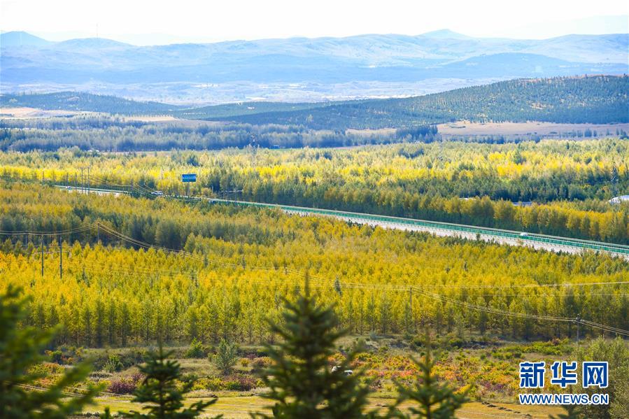 （在習(xí)近平新時代中國特色社會主義思想指引下&mdash;&mdash;新時代新作為新篇章&middot;習(xí)近平總書記關(guān)切事&middot;圖文互動）（7）綠意，在黃沙中鋪展&mdash;&mdash;我國防沙治沙紀(jì)實(shí)