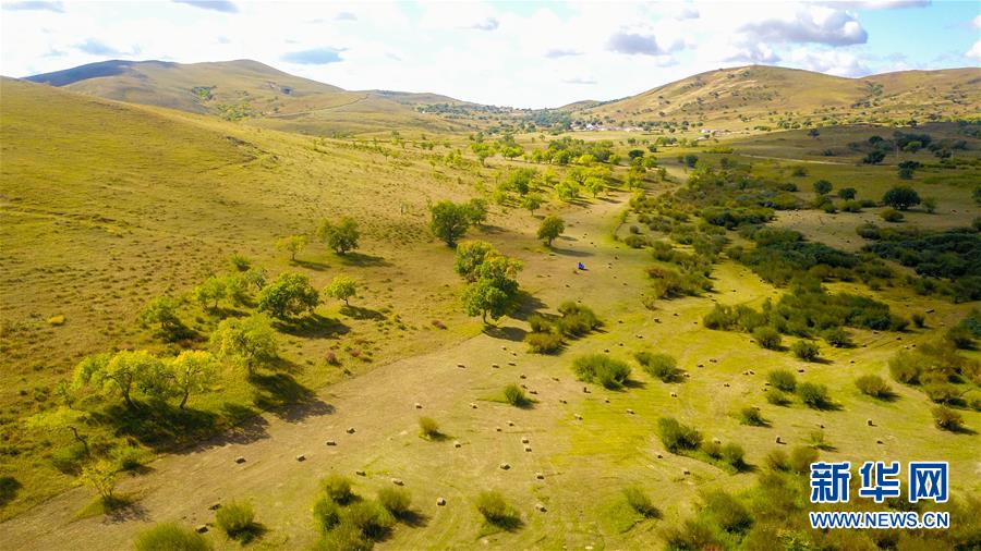 （在習(xí)近平新時代中國特色社會主義思想指引下&mdash;&mdash;新時代新作為新篇章&middot;習(xí)近平總書記關(guān)切事&middot;圖文互動）（4）綠意，在黃沙中鋪展&mdash;&mdash;我國防沙治沙紀(jì)實(shí)