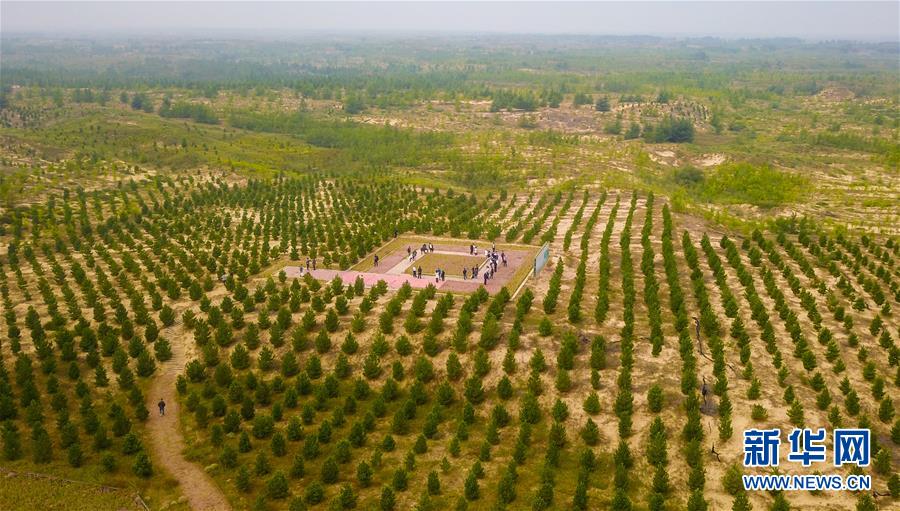（在習(xí)近平新時代中國特色社會主義思想指引下&mdash;&mdash;新時代新作為新篇章&middot;習(xí)近平總書記關(guān)切事&middot;圖文互動）（2）綠意，在黃沙中鋪展&mdash;&mdash;我國防沙治沙紀(jì)實(shí)