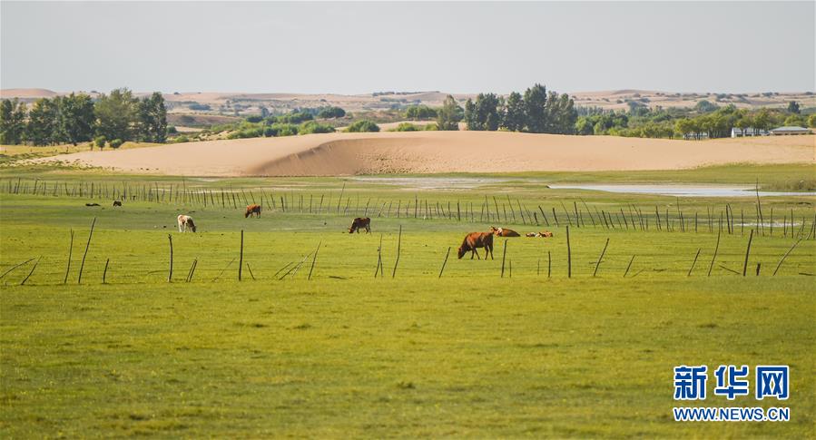 （在習(xí)近平新時代中國特色社會主義思想指引下&mdash;&mdash;新時代新作為新篇章&middot;習(xí)近平總書記關(guān)切事&middot;圖文互動）（9）綠意，在黃沙中鋪展&mdash;&mdash;我國防沙治沙紀(jì)實(shí)