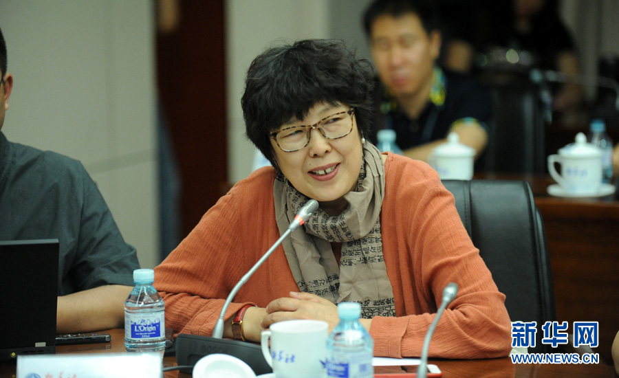 陳小波：新華人對歷史的擔(dān)當(dāng)、情感與良知