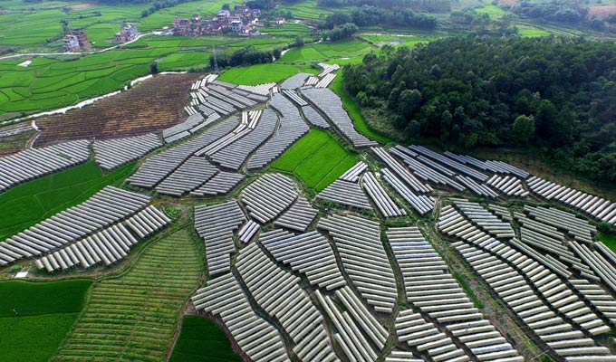 【建黨95周年&middot;光輝歷程】打贏脫貧攻堅戰(zhàn)