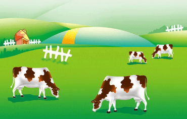 醬紫的內(nèi)蒙古，約嗎