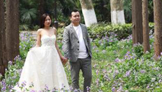 南京理工大學(xué)二月蘭盛開&ldquo;醉&rdquo;美校園