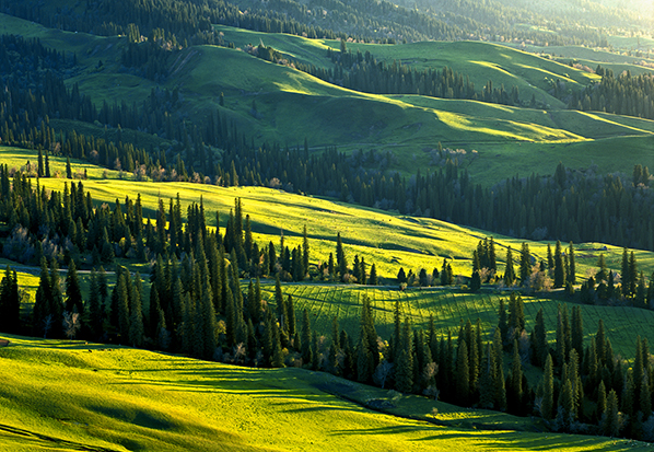 【長篇通訊】塞罕壩，京城綠色屏障的前世今生