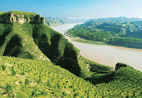 張建龍：&ldquo;三北工程&rdquo;實現(xiàn)生態(tài)、經濟、社會效益&ldquo;多贏&rdquo;