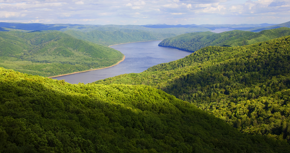 張建龍：&ldquo;三北工程&rdquo;實現(xiàn)生態(tài)、經濟、社會效益&ldquo;多贏&rdquo;