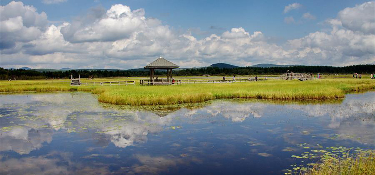 那一抹綠色，走進越來越多人心里&mdash;&mdash;河北塞罕壩續(xù)寫新時代綠色傳奇